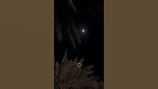 ان جيت جيتك #اصيل_هميم #بدون_موسيقى