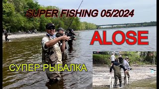 Супер Рыбалка в Канаде 05/ 2024