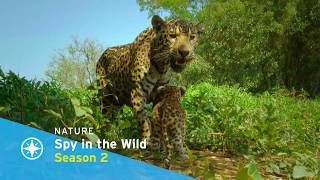 SCETV Passport - July 2020