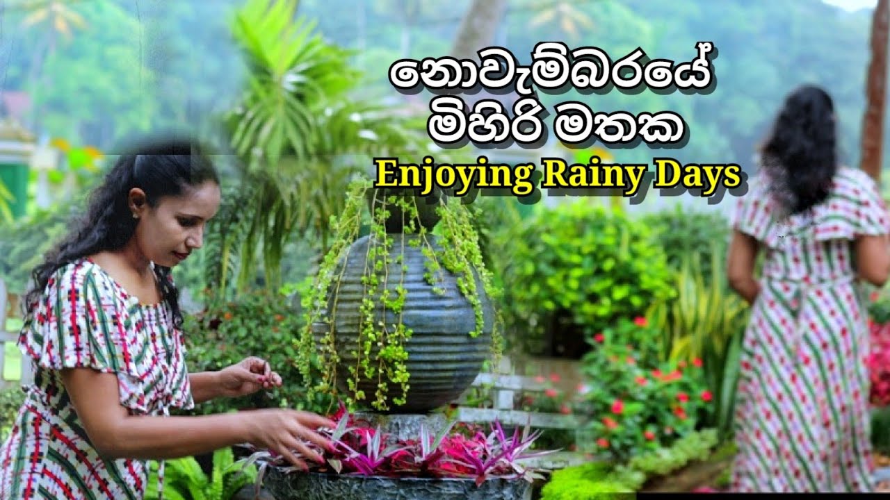 නොවැම්බරයේ මිහිරි මතක || Enjoying Rainy Days || Spending Day In A Fesh Environment