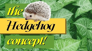 Jim Collins - Hedgehog concept | Finding the Perfect balance as a Dentist