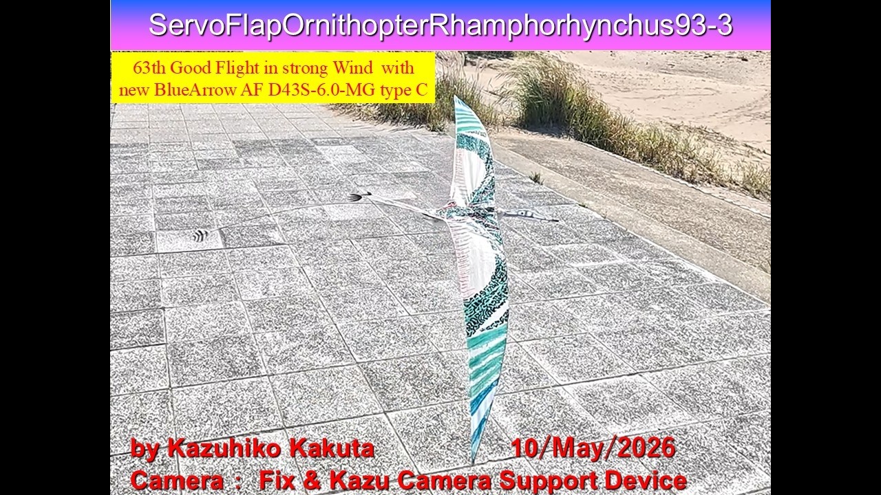 アルフィー　3000回　飛来物　羽 サーボ駆動翼竜型羽ばたき機 SFORhamphorhynchus93-3 30g : 63th Good
