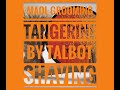 Maol grooming tangerine by talbot shaving  is it just shaving