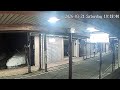 新潟県長岡市谷内ライブカメラ Niigata Nagaoka Live Camera.world.cam