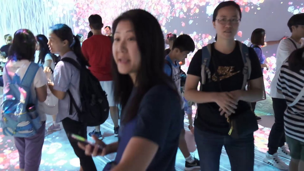 Cordex - Interactive x Immersive Projection - YouTube