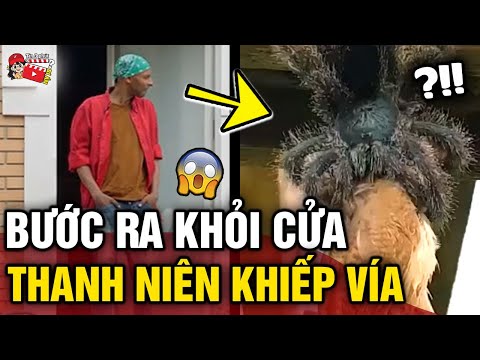 Video Vừa bước ra cửa nam thanh niên 'SỢ KHIẾP VÍA' khi nhìn... - youtube