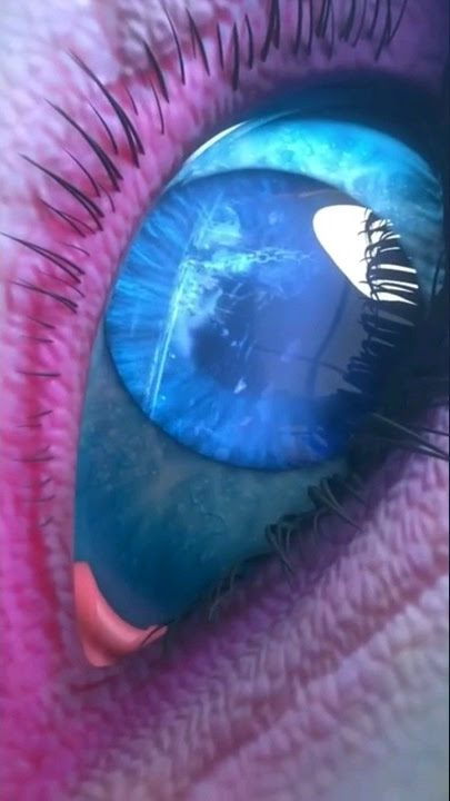 Queen Medusa Always Protects her Husband 🐍❤️Battle Through The Heavens #btth #viralshorts