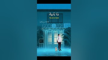 سورة الاحزاب -  القارئ طارق محمد