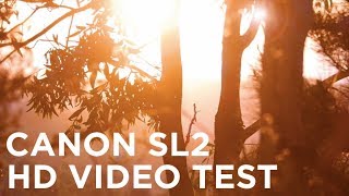 Canon SL2/200D HD Video Quality Test