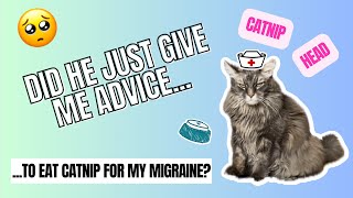 Talking Cat Says to Take Catnip for My Headache! | RoscoeSqueaks
