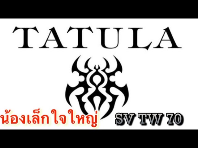 DAIWA LAB - Tatula SV TW 70 สายฟู่ไหม 