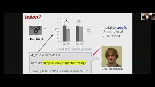 Towards a translational neuroscience of consciousness