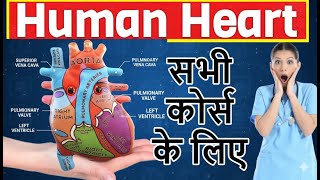 ❤️ Human Heart and Its Layers in Detail | Anatomy &amp; Physiology | Very Easy Explanation Cardiovascula
