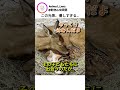 この光景、優しすぎる…