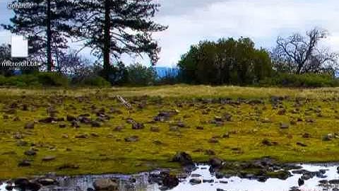 operating system using vb.net