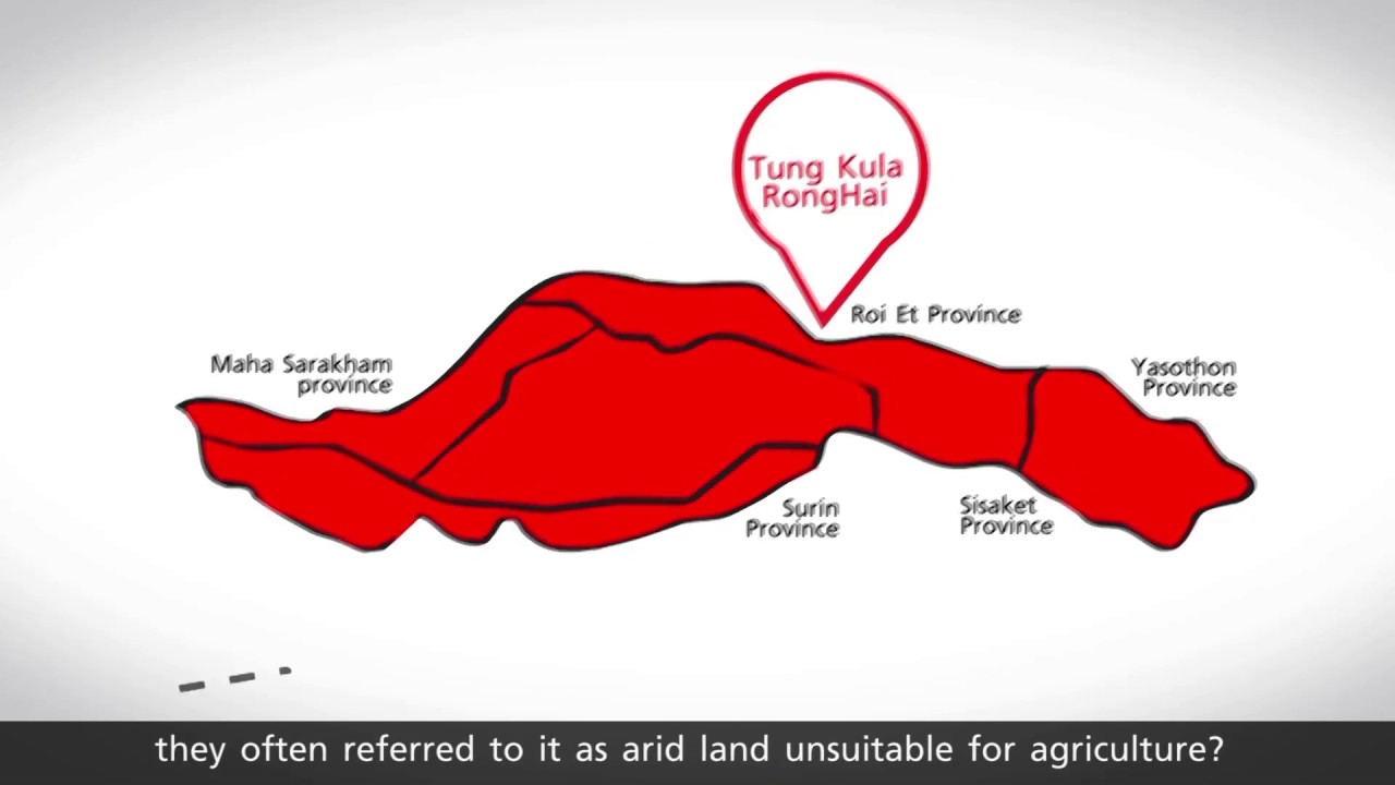 GAP Plus by Royal Umbrella ( French Version ) YouTube