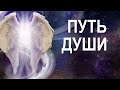 УРОВНИ ПРЕДНАЗНАЧЕНИЯ ДУШИ