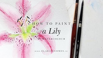 How to Paint a Lily in Watercolour - Hello Clarice Tutorials