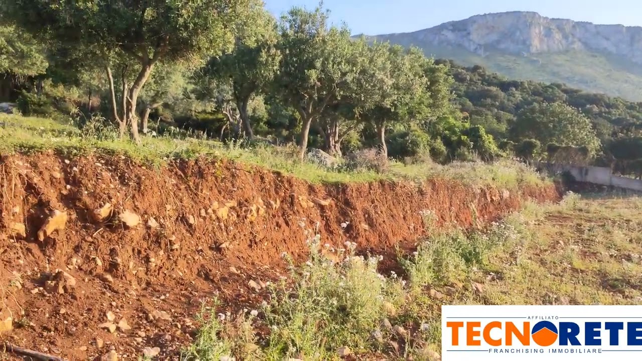 Terreno Agricolo Contrada Cipollazzo Cinisi