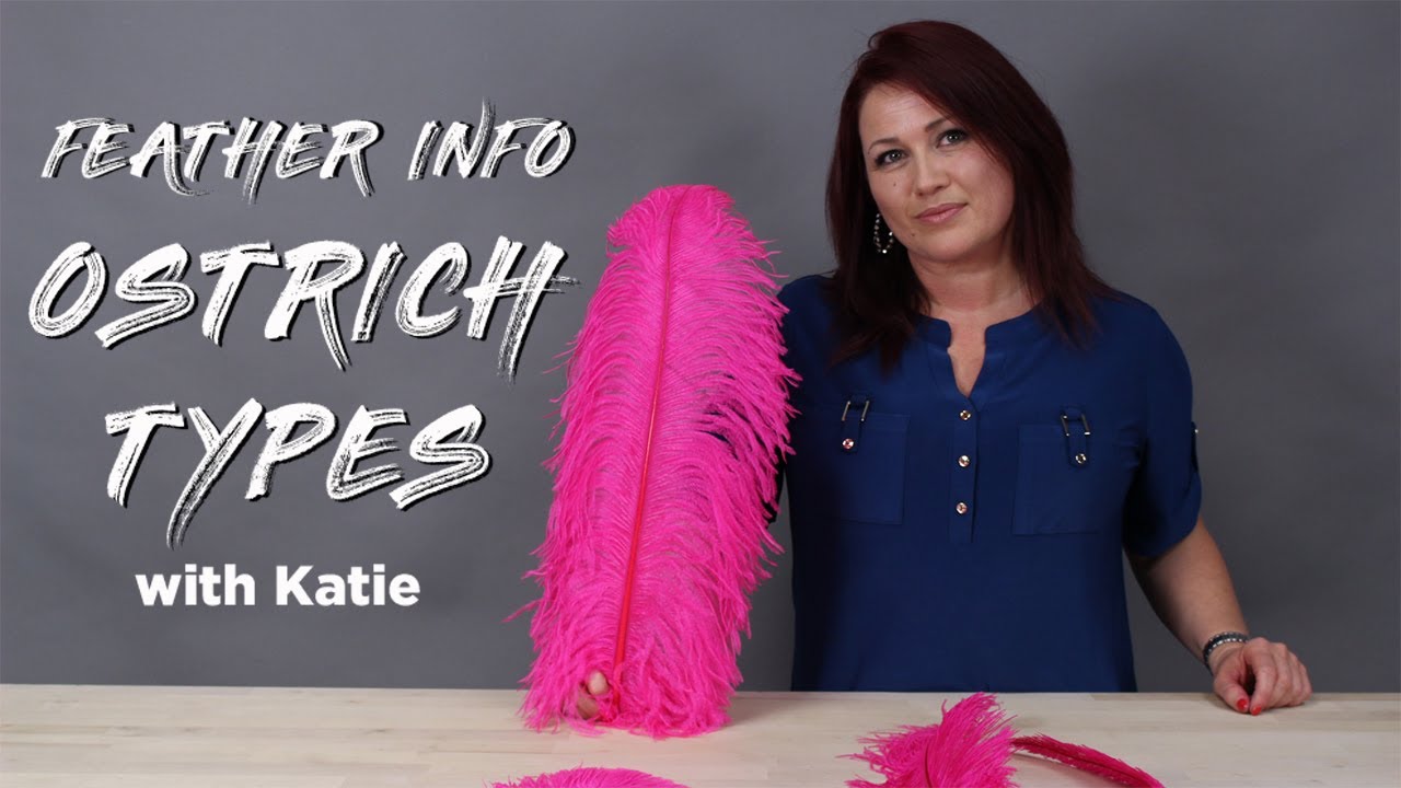 ZUCKER® Ostrich Feather Types & FAQ's | Get the FAQ's on the Best Variety of Ostrich Feathers!