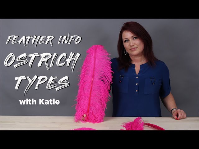 How to choose Ostrich Feathers – …out of a portrait