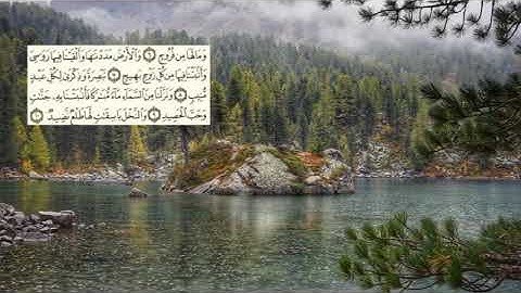 518-page - سعد الغامدي - -سورة -  ق  QAF  - 50