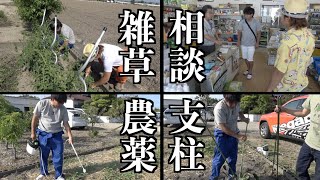 佐賀よか農園の悩みを一気に解決！！