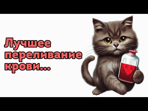 Переливание крови