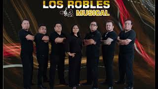 Download Lagu NO SE VA MP3 Download Lagu NO SE VA MP3