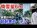 【寒さに負けない】夫婦で極寒を乗り切る極上のお庭公開 【カーメン君】【個人庭】【かつえ&つねガーデン】