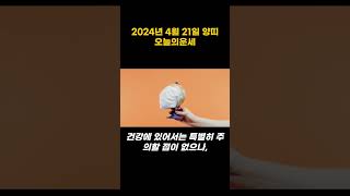 2024년4월21일 양띠 오늘의운세