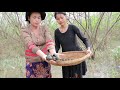 Woman  and  girl find to catch Snails