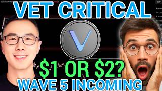 Vechain 1 Or 2 Next Move Revealed Vet Holders Must See This