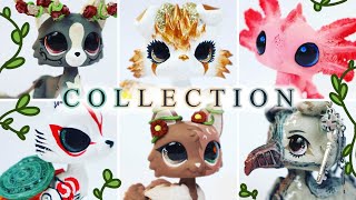 My Recent LPS Customs #6 🌿 (collection video)