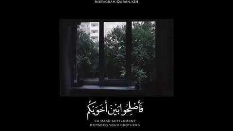 إنما المؤمنون إخوه فأصحلوا بين اخويكم)حالات وتس قرآن كريم صوت يريح القلب