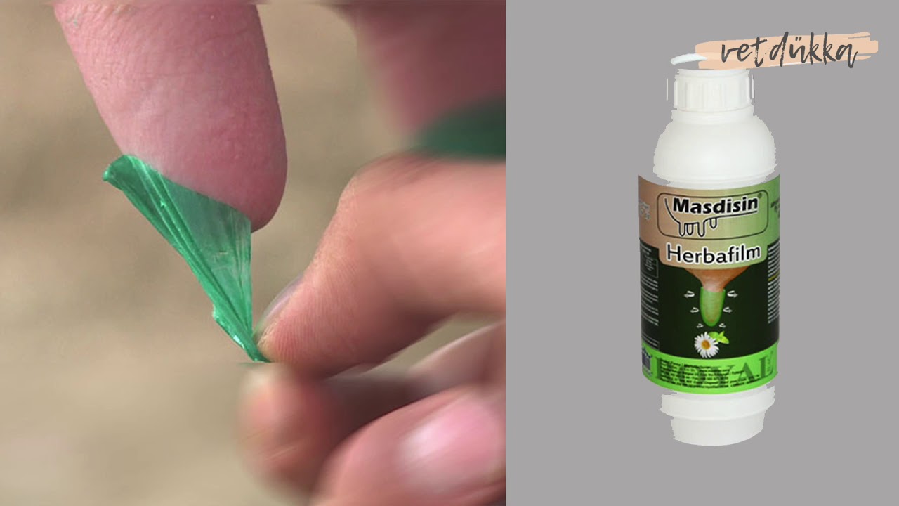 Royal Masdisin Herbafilm Nasıl Kullanılır? Mastitis Sorunu Nasıl Çözülür?