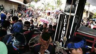 Jaipongan lagu kembang bereum versi Grup CUTA MUDA