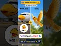 Nok Air ka Meaning Kya Hai?😳 | Bird in Thai| Learn Thai Easy |Learn Thai in Hindi|Thai Hindi Academy