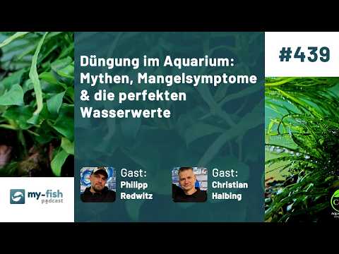 my-fish.org - Fertilization in the aquarium: Myths, deficiency signs & perfect water parameters (...