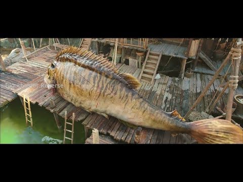 Journey To The West Clip Fish scene in reverse   Blockbuster Reverse