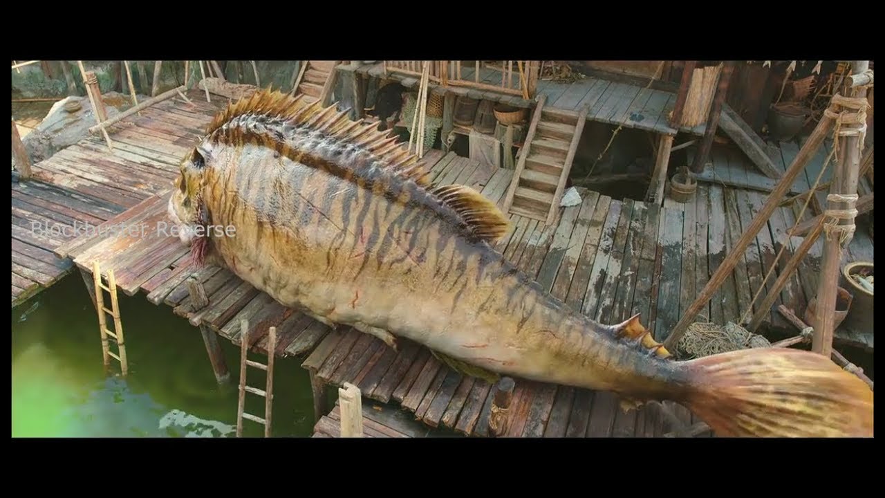 journey to the west movie fish