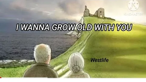 I WANNA GROW OLD WITH YOU.                       WESTLIFE