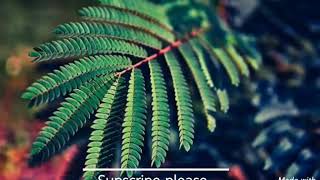 It's you - Ali gatia - music lyrics