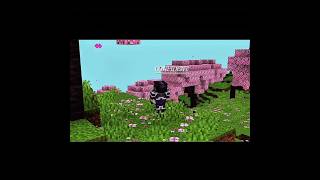 2 phases minecraft smp belike||minecraft edit ||first time edit myself btw||#minecraft #edit