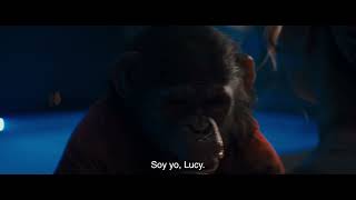 Primate - En Cines 8 De Enero