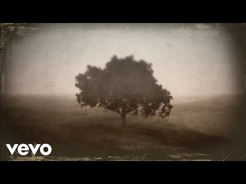 T Bone Burnett - Waiting For You (Visualizer) ft. Lucius