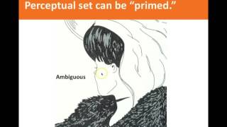 Perception as Interpretation