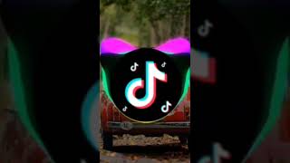 dj nwt