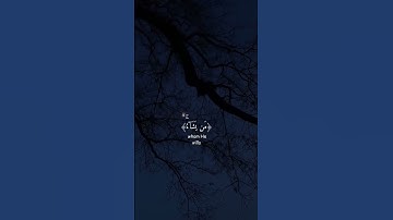 نور على نور القران الكريم