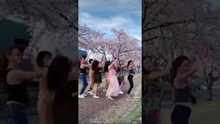 Sakura Ft Sweet Soul Revuejapan